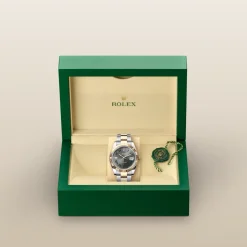 rolex  Datejust 41 Oyster, 41 mm, Oystersteel and yellow gold M126333-0019