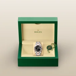 rolex  Datejust 36 Oyster, 36 mm, Oystersteel and Everose gold M126231-0020