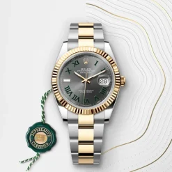 rolex  Datejust 41 Oyster, 41 mm, Oystersteel and yellow gold M126333-0019