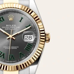 rolex  Datejust 41 Oyster, 41 mm, Oystersteel and yellow gold M126333-0019
