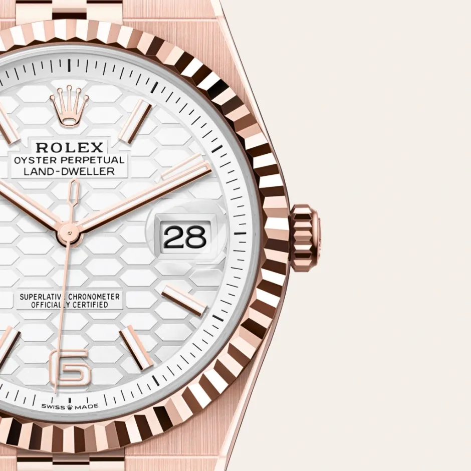 rolex Land-Dweller 40 Oyster, 40 mm, Everose gold M127335-0001