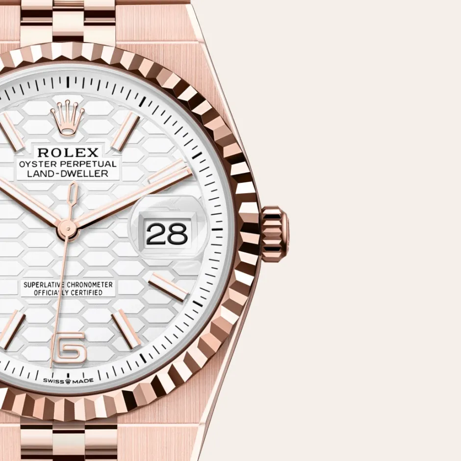 rolex Land-Dweller 36 Oyster, 36 mm, Everose gold M127235-0001