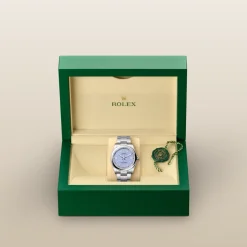 rolex  Oyster Perpetual 36 Oyster, 36 mm, Oystersteel M126000-0013