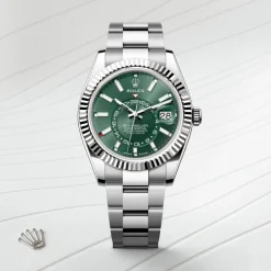 rolex  Sky-Dweller Oyster, 42 mm, Oystersteel and white gold M336934-0001
